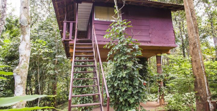 Sunbird Garden Resort Krishnagiri Екстер'єр фото